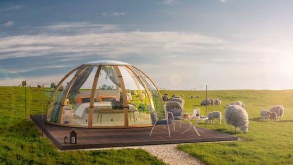 شركة بريطانية تطلق أول تجربة نوم حقيقية في العالم تعتمد على عد الأغنام